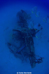 The Deep Pete with Bat fish.This is a  Mitsubishi F1M2 Fl... by Dorian Borcherds 